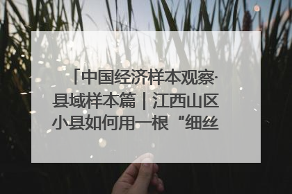 中国经济样本观察·县域样本篇｜江西山区小县如何用一根“细丝”拉出百亿级产业？
