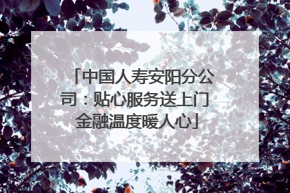 中国人寿安阳分公司：贴心服务送上门 金融温度暖人心