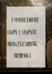 中国日报看山西｜山西发现东方白鹳筑巢繁殖