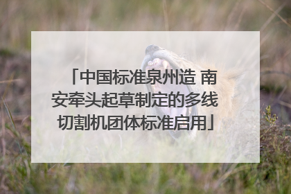 中国标准泉州造 南安牵头起草制定的多线切割机团体标准启用