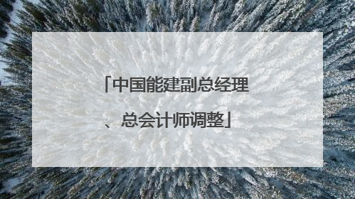中国能建副总经理、总会计师调整