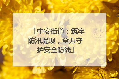 中安街道：筑牢防汛堤坝，全力守护安全防线