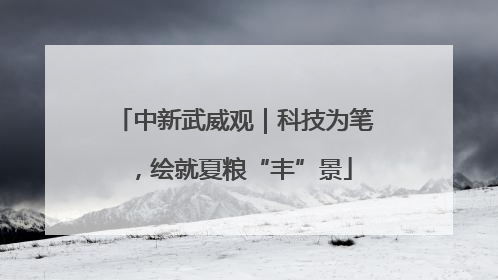 中新武威观｜科技为笔，绘就夏粮“丰”景