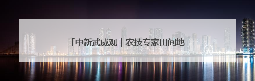 中新武威观｜农技专家田间地头“把脉开方”送“及时雨”