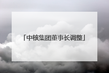 中核集团董事长调整
