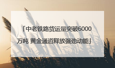 中老铁路货运量突破6000万吨 黄金通道释放强劲动能