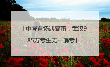 中考首场遇暴雨，武汉9.85万考生无一误考