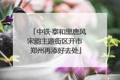 中铁·泰和里唐风宋韵主题街区开市 郑州再添好去处