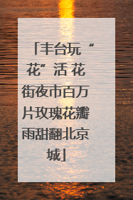 丰台玩“花”活 花街夜市百万片玫瑰花瓣雨甜翻北京城