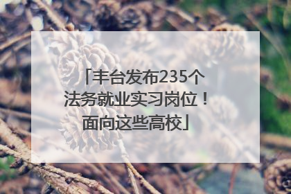 丰台发布235个法务就业实习岗位！面向这些高校