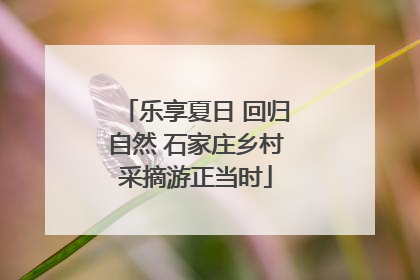 乐享夏日 回归自然 石家庄乡村采摘游正当时