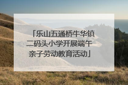 乐山五通桥牛华镇二码头小学开展端午亲子劳动教育活动