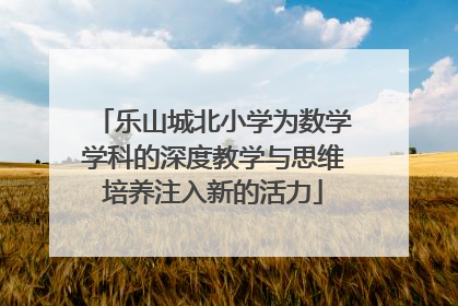 乐山城北小学为数学学科的深度教学与思维培养注入新的活力