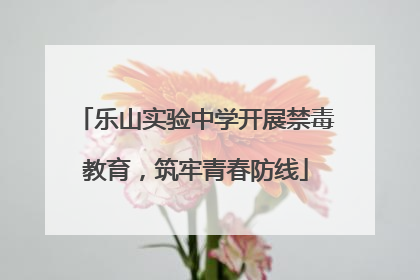 乐山实验中学开展禁毒教育，筑牢青春防线