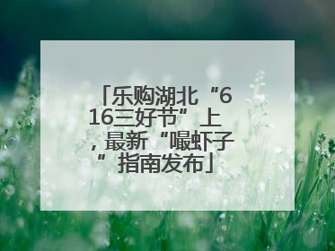 乐购湖北“616三好节”上，最新“嘬虾子”指南发布