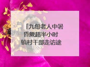 九旬老人中暑昏厥超半小时 镇村干部走访途中发现及时施救｜看见正能量