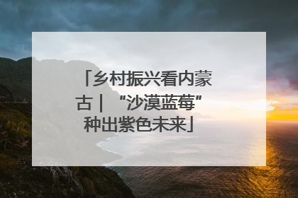 乡村振兴看内蒙古｜“沙漠蓝莓”种出紫色未来