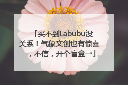 买不到Labubu没关系！气象文创也有惊喜，不信，开个盲盒→