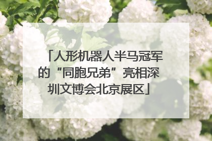 人形机器人半马冠军的“同胞兄弟”亮相深圳文博会北京展区