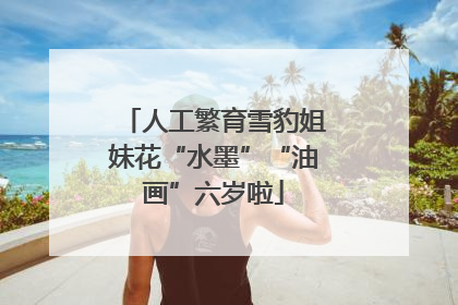 人工繁育雪豹姐妹花“水墨”“油画”六岁啦