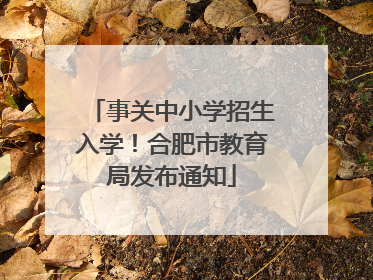 事关中小学招生入学！合肥市教育局发布通知