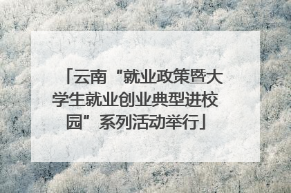 云南“就业政策暨大学生就业创业典型进校园”系列活动举行