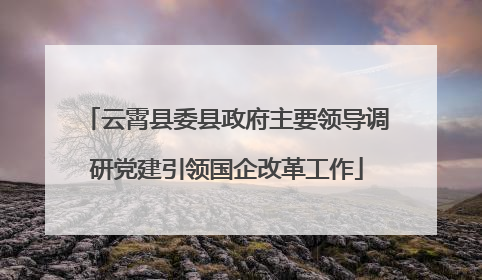 云霄县委县政府主要领导调研党建引领国企改革工作