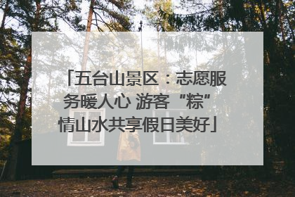 五台山景区：志愿服务暖人心 游客“粽”情山水共享假日美好
