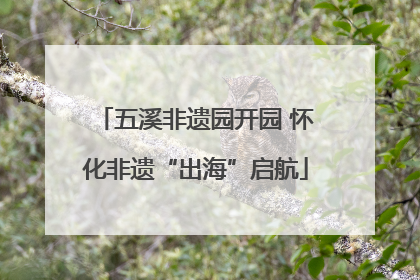 五溪非遗园开园 怀化非遗“出海”启航