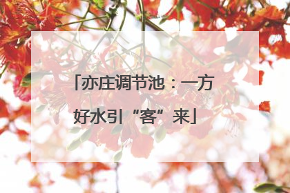 亦庄调节池：一方好水引“客”来