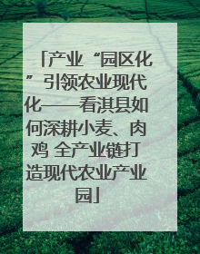 产业“园区化”引领农业现代化——看淇县如何深耕小麦、肉鸡 全产业链打造现代农业产业园