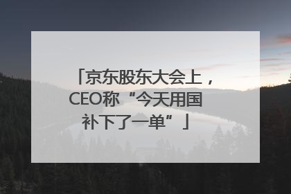 京东股东大会上，CEO称“今天用国补下了一单”