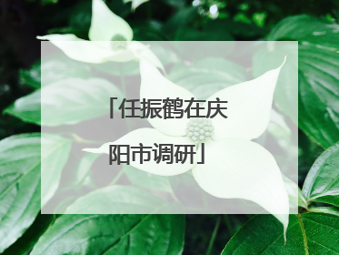 任振鹤在庆阳市调研