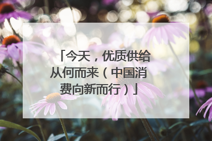 今天，优质供给从何而来（中国消费向新而行）