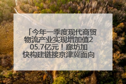 今年一季度现代商贸物流产业实现增加值205.7亿元！廊坊加快构建链接京津冀面向全世界的物流通道