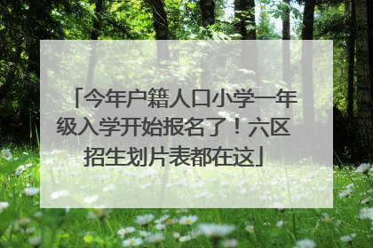 今年户籍人口小学一年级入学开始报名了！六区招生划片表都在这