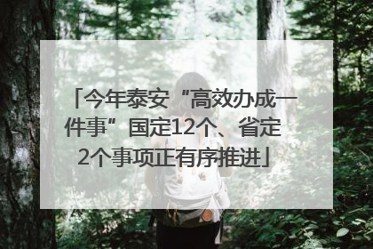 今年泰安“高效办成一件事”国定12个、省定2个事项正有序推进