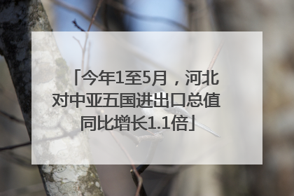 今年1至5月，河北对中亚五国进出口总值同比增长1.1倍