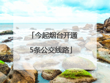 今起烟台开通5条公交线路