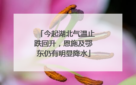 今起湖北气温止跌回升，恩施及鄂东仍有明显降水