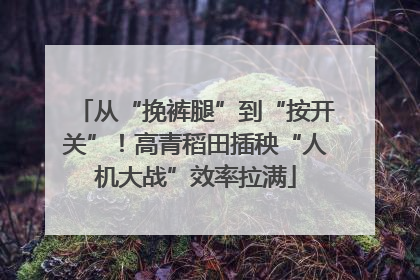 从“挽裤腿”到“按开关”！高青稻田插秧“人机大战”效率拉满