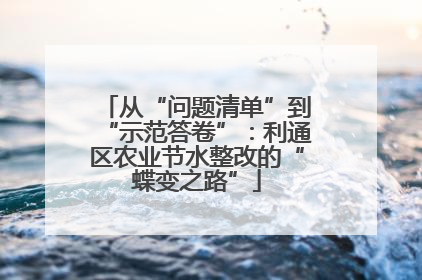 从“问题清单”到“示范答卷”：利通区农业节水整改的“蝶变之路”