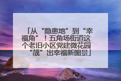 从“隐患地”到“幸福角”！五角场街道这个老旧小区党建微花园“靓”出幸福新图景