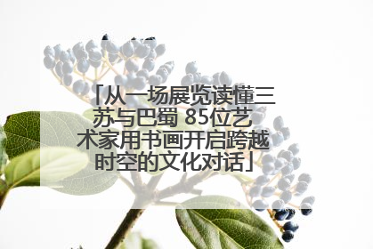 从一场展览读懂三苏与巴蜀 85位艺术家用书画开启跨越时空的文化对话