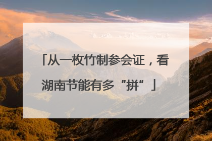 从一枚竹制参会证，看湖南节能有多“拼”