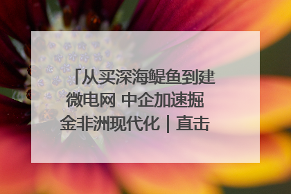 从买深海鳀鱼到建微电网 中企加速掘金非洲现代化｜直击中非经贸博览会