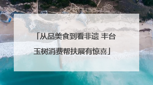 从品美食到看非遗 丰台玉树消费帮扶展有惊喜