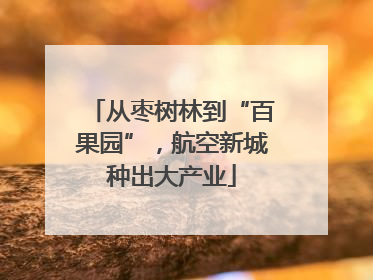 从枣树林到“百果园”，航空新城种出大产业