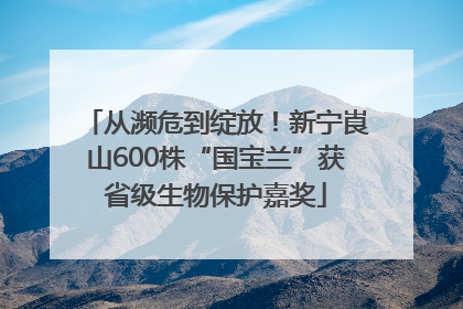 从濒危到绽放！新宁崀山600株“国宝兰”获省级生物保护嘉奖