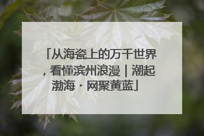 从海瓷上的万千世界，看懂滨州浪漫｜潮起渤海・网聚黄蓝